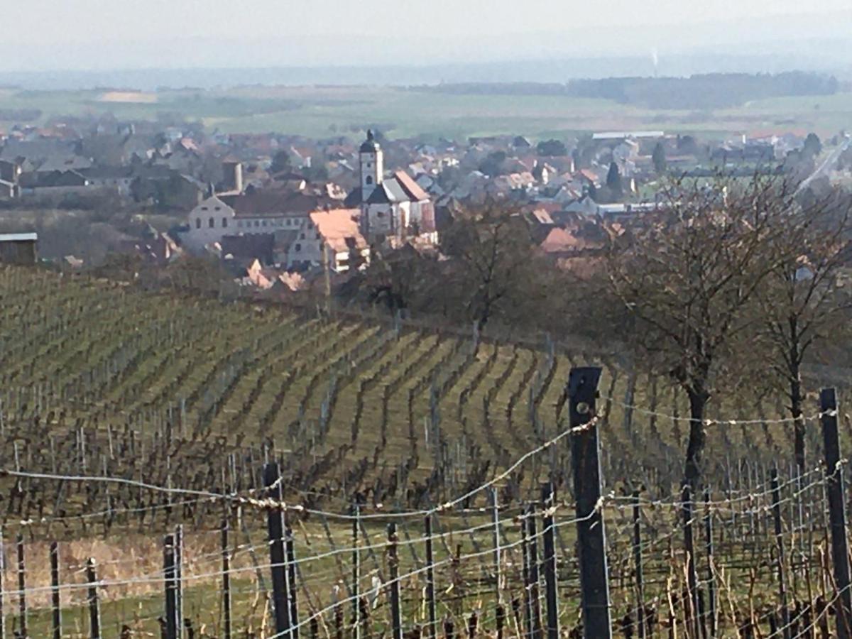 Haeuschen In Der Altstadt 代特尔巴赫 外观 照片